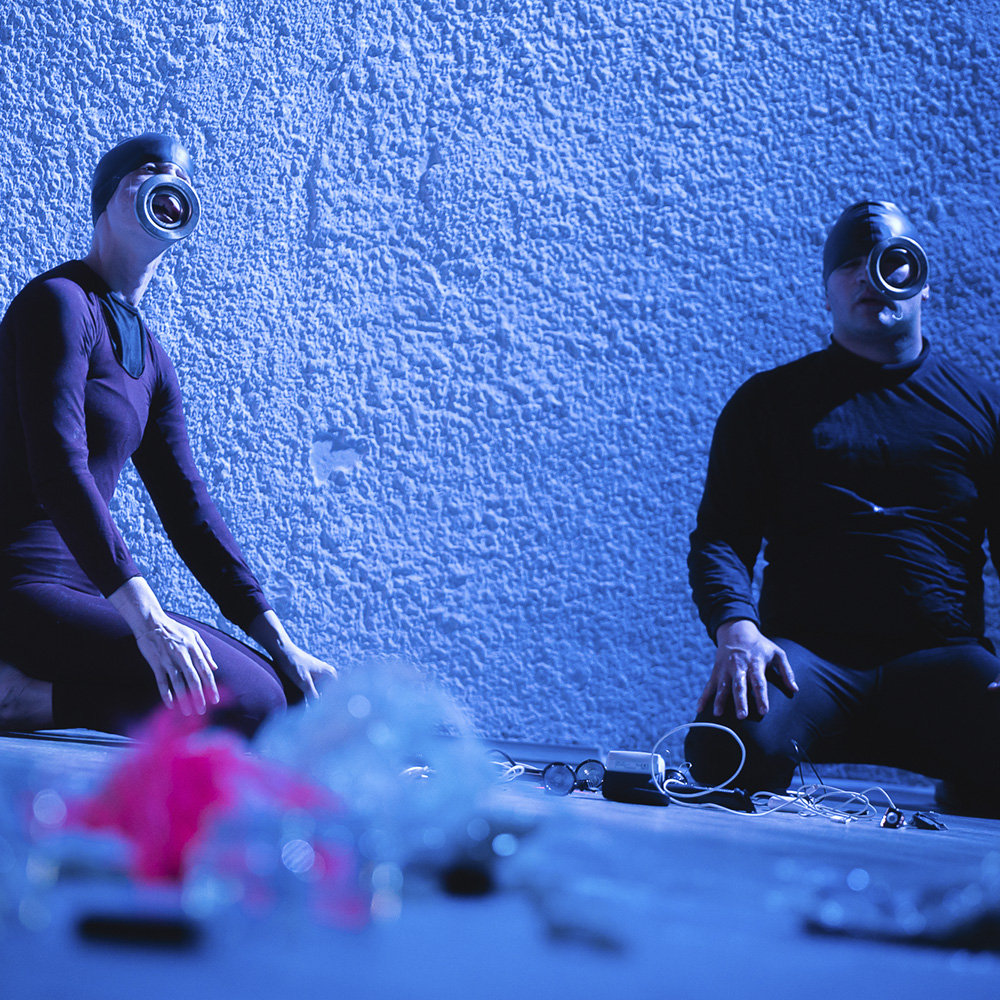 PERCINOPSIS. FITDAP 2024